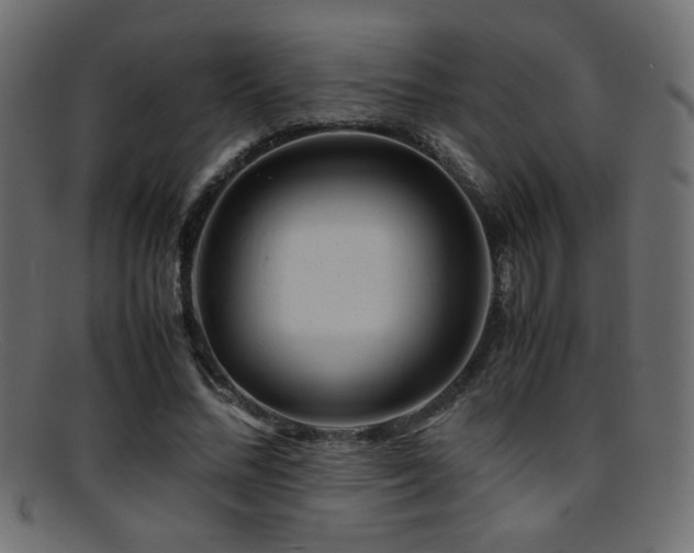 X0000095690684200801081248