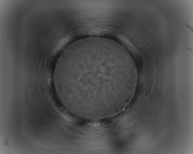 X0000095690687200801081248