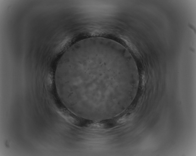 X0000095690691200801081248