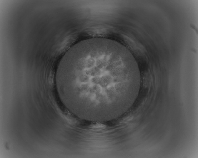 X0000095690695200801081248