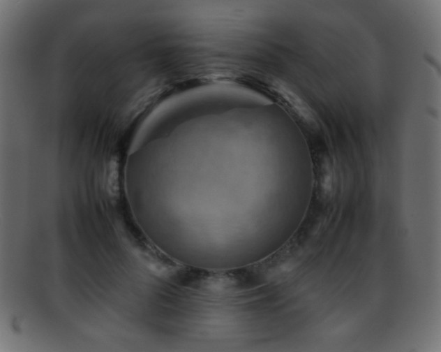 X0000095690696200801081248