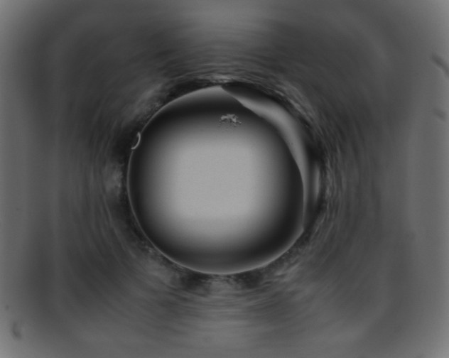 X0000095690697200801081248