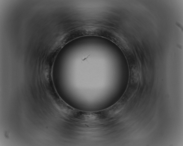 X0000095690698200801081248