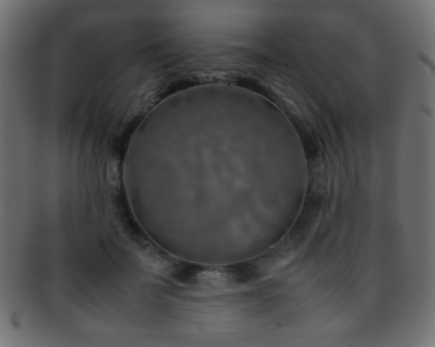 X0000095690699200801081248