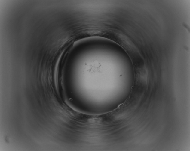 X0000095690700200801081248