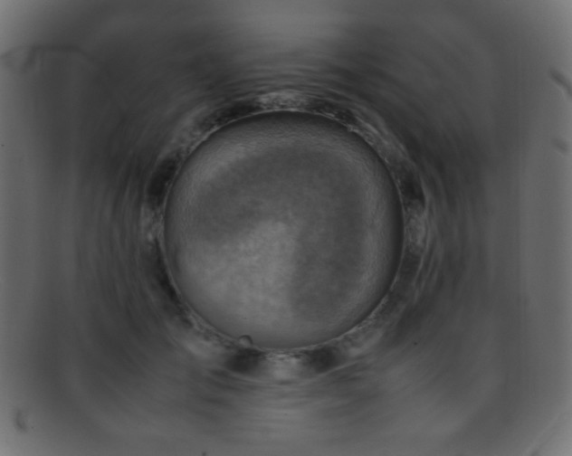 X0000095690701200801081248