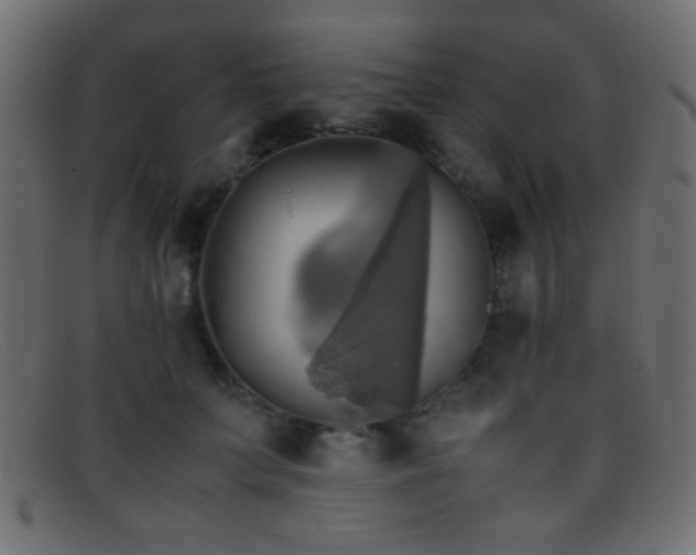 X0000095690703200801081248
