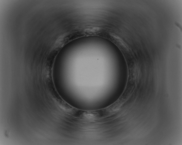 X0000095690706200801081248
