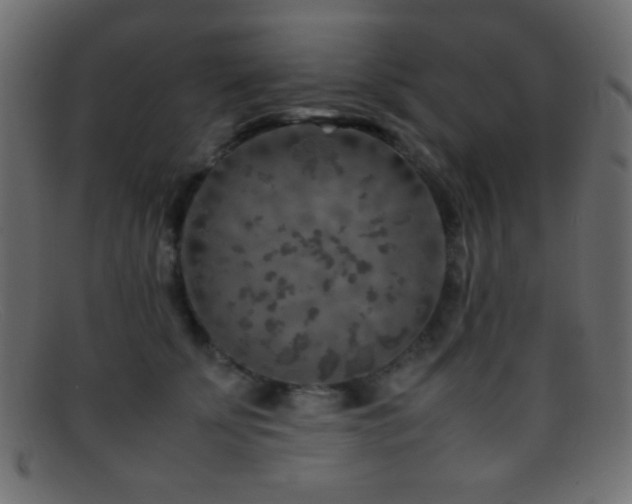 X0000095690707200801081248