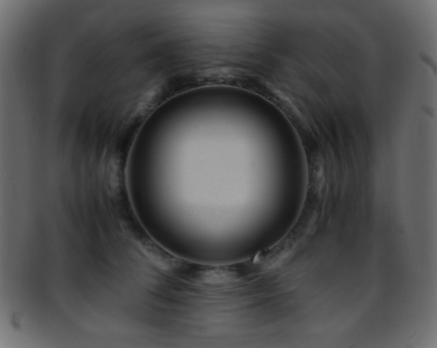 X0000095690708200801081248