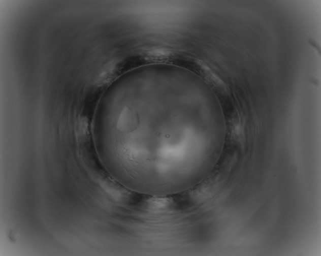 X0000095690711200801081248