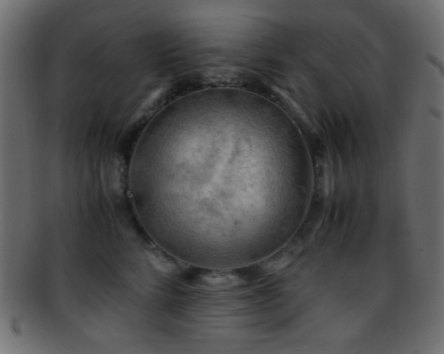 X0000095690712200801081248
