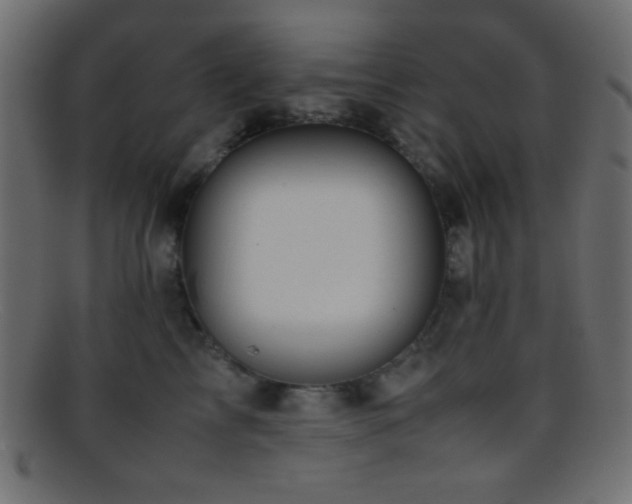 X0000095690713200801081248