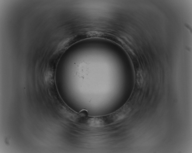 X0000095690714200801081248