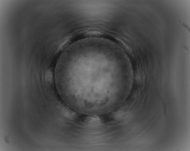 X0000095690715200801081248