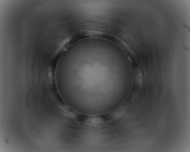 X0000095690716200801081248