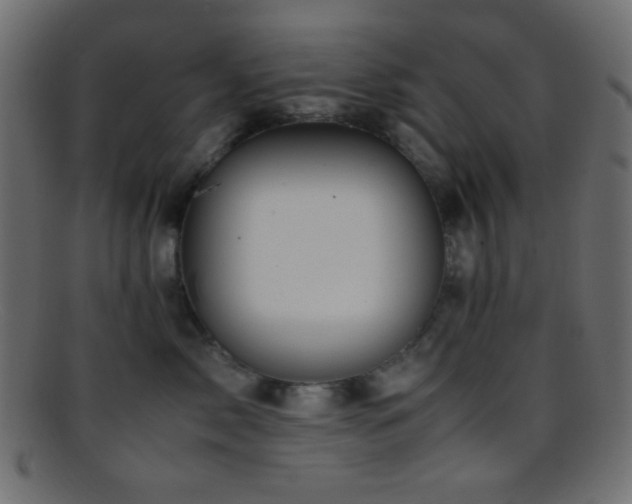 X0000095690717200801081248