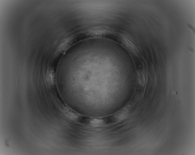 X0000095690718200801081248