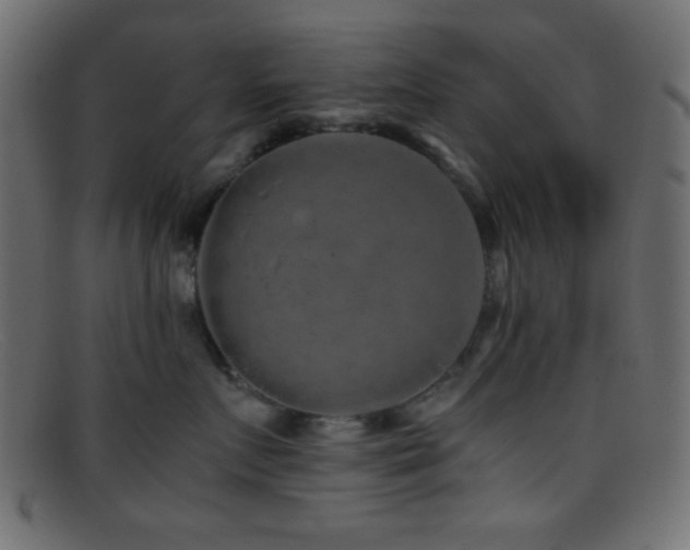 X0000095690719200801081248