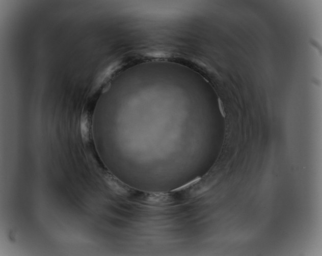 X0000095690720200801081248