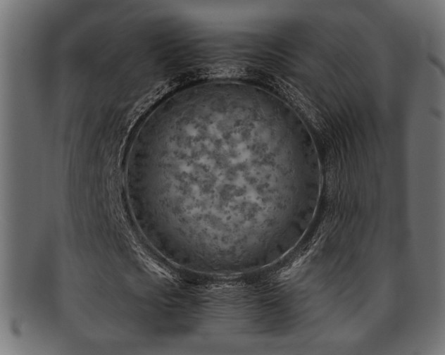 X0000095690721200801081247