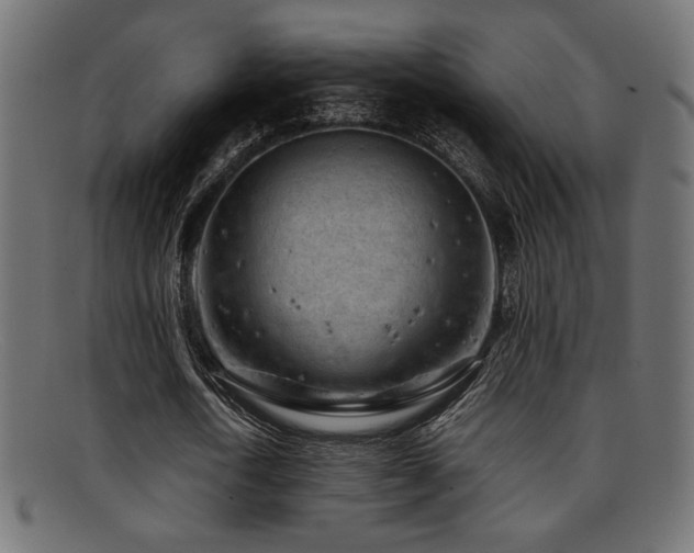 X0000095690722200801081247