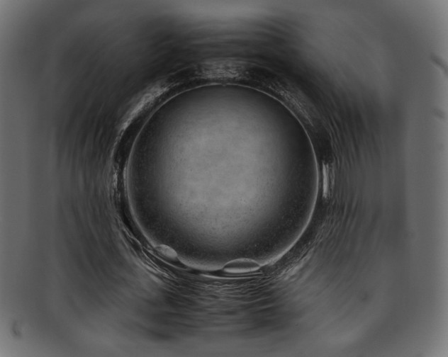 X0000095690723200801081247