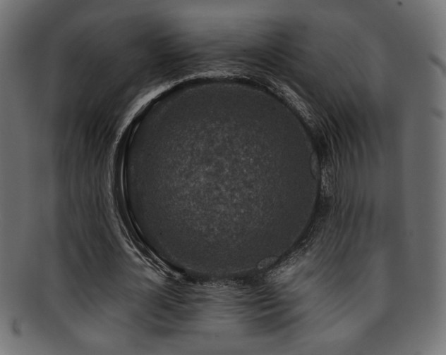 X0000095690724200801081247