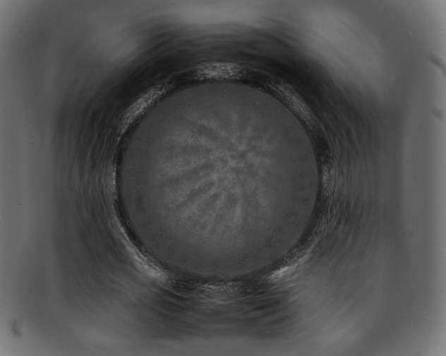 X0000095690725200801081247