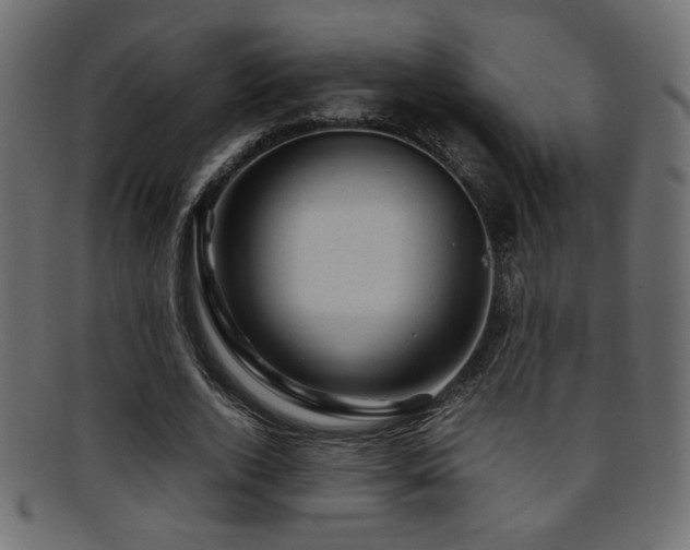 X0000095690728200801081247