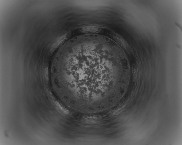 X0000095690729200801081247