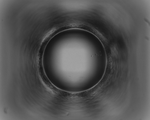 X0000095690730200801081247