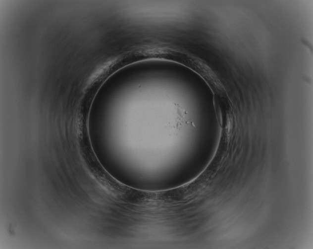 X0000095690732200801081247