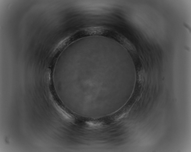 X0000095690733200801081247