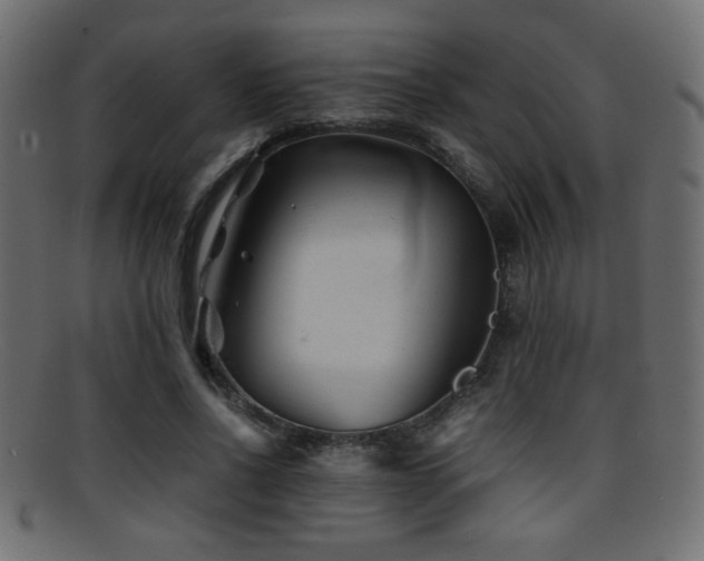 X0000095690734200801081247