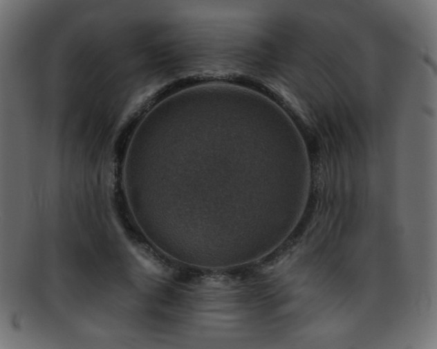 X0000095690736200801081247