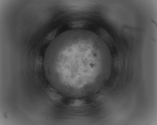 X0000095690737200801081247