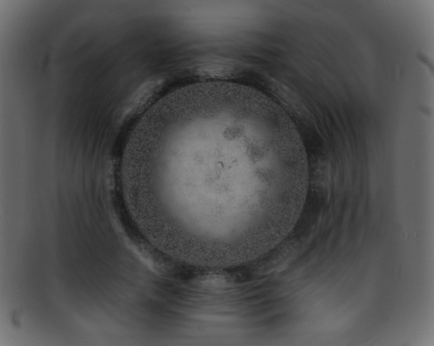 X0000095690738200801081247