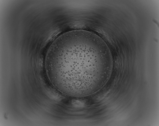 X0000095690739200801081248