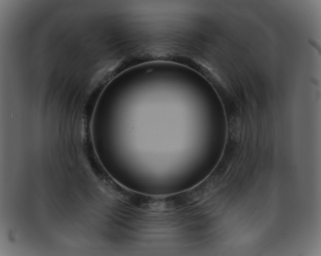 X0000095690740200801081248
