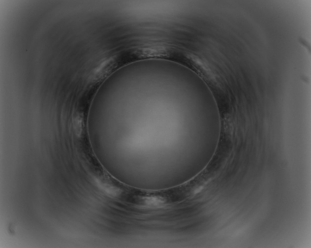 X0000095690741200801081248