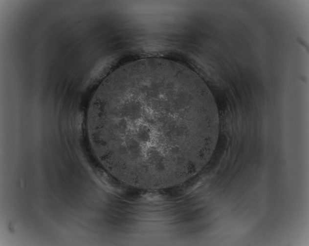 X0000095690742200801081248