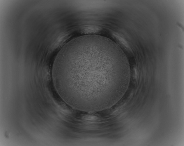 X0000095690743200801081248