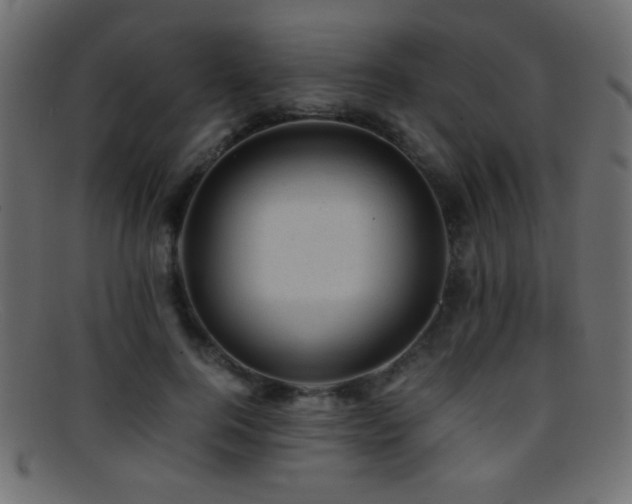 X0000095690744200801081248