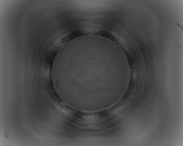 X0000095690745200801081248