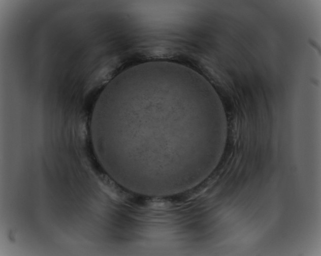 X0000095690746200801081248