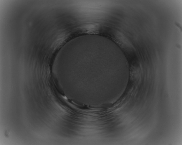 X0000095690748200801081248