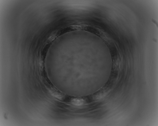 X0000095690749200801081248