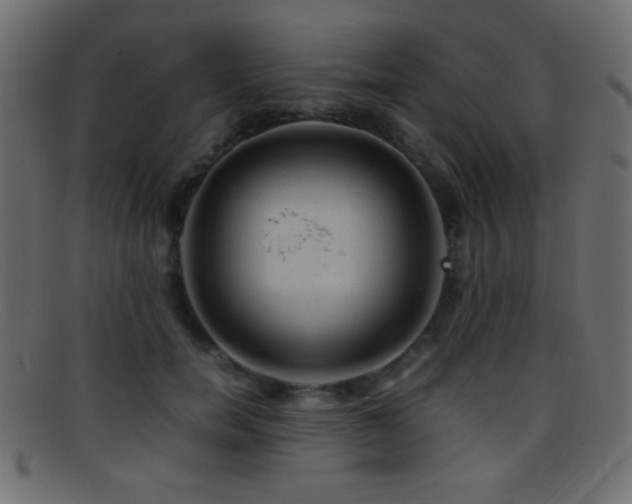 X0000095690750200801081248