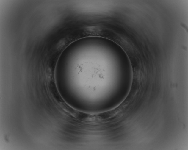X0000095690752200801081248